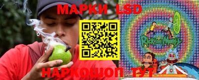 гидропоника Коммунар